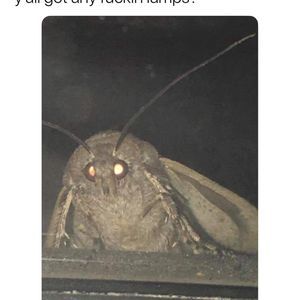 Meet your Posher, Jaycie